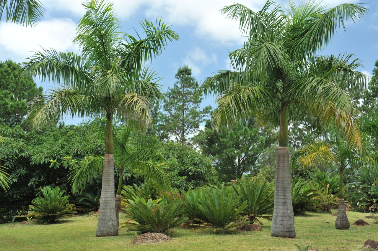 Summerfield Botanical Garden & Exclusive Resort Matsapha Exterior foto